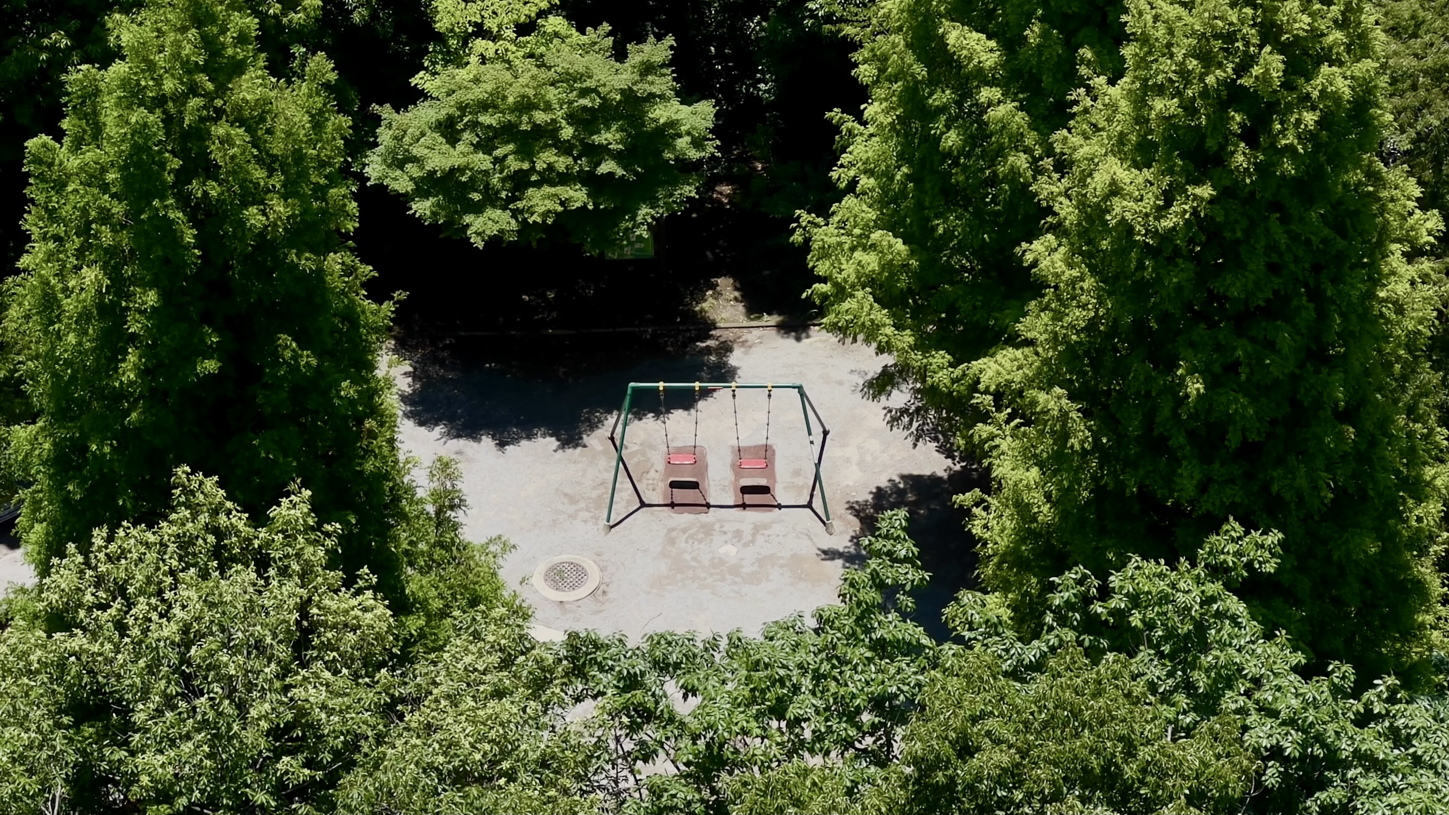 Swings in the park