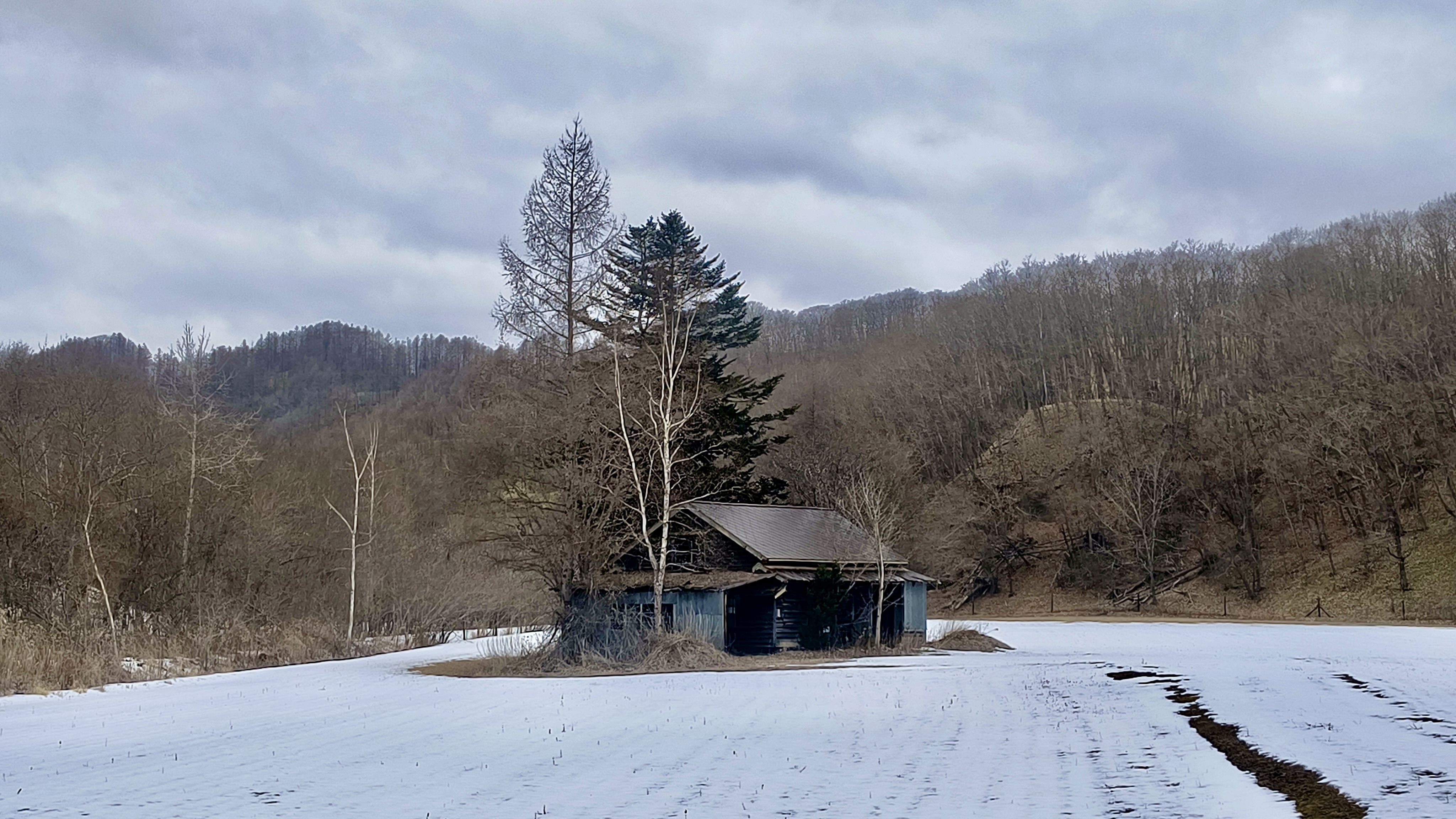 An abandoned house