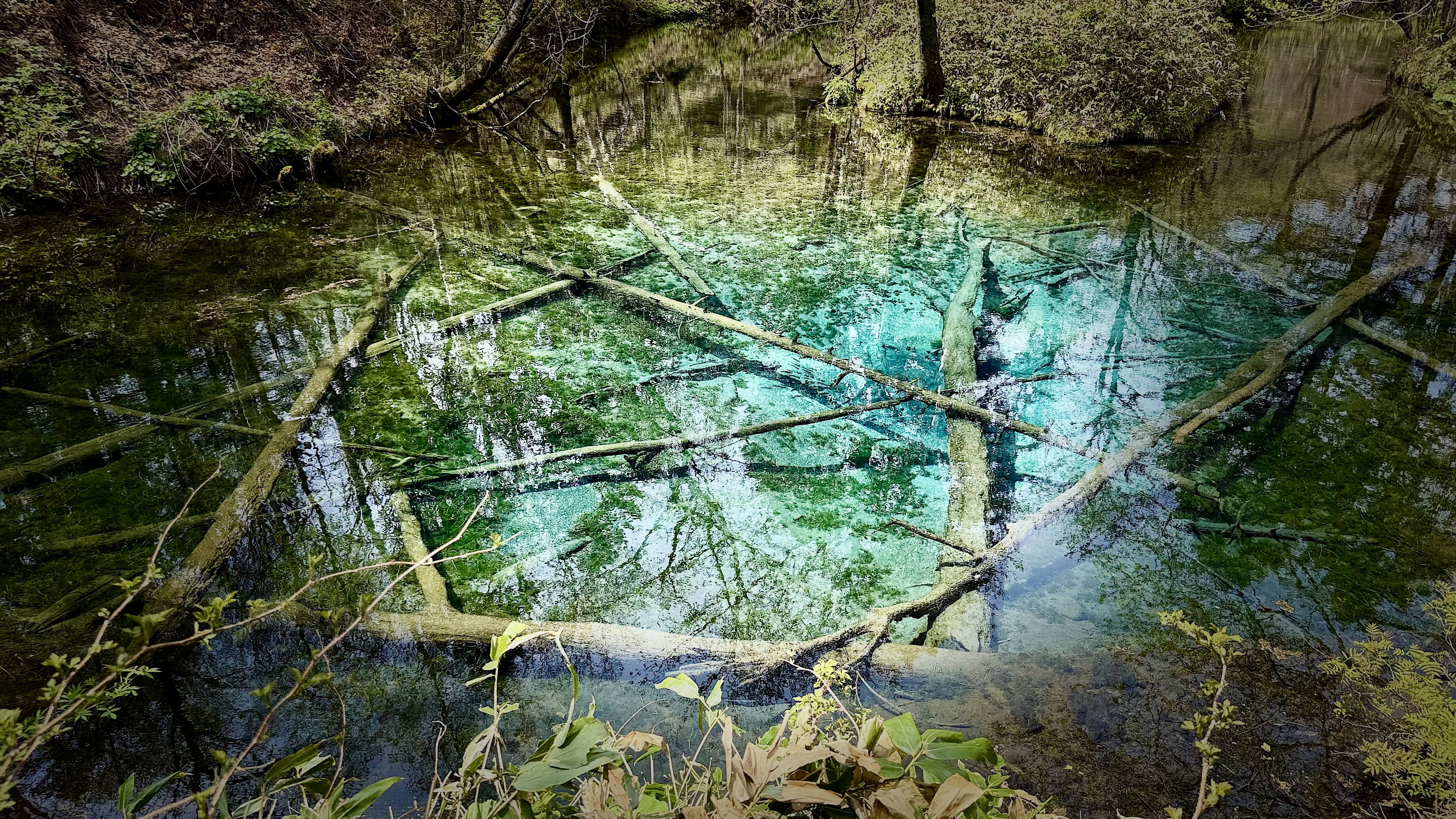 Kaminokoike Pond