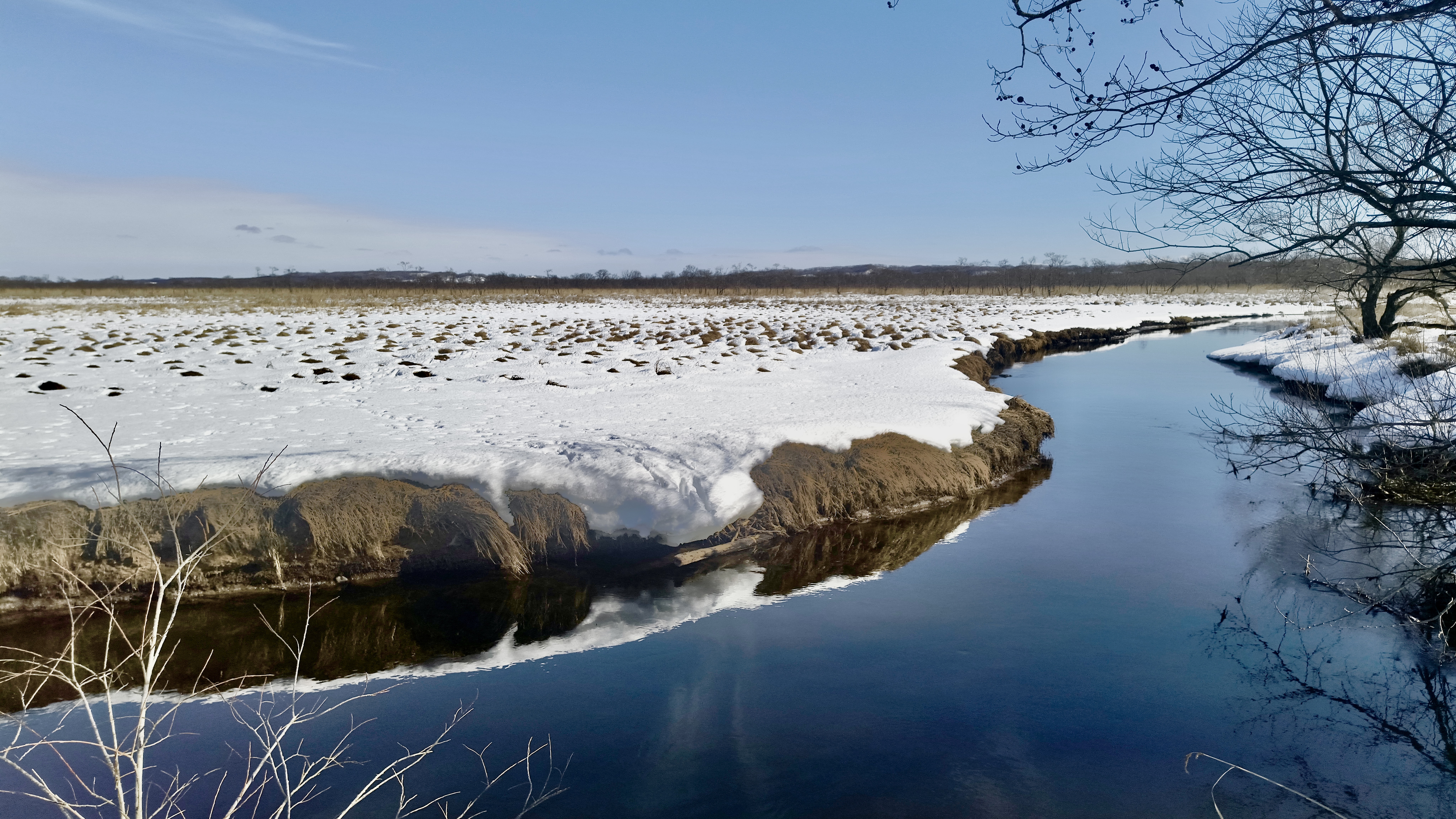 Kushiro Shitsugen Marsh