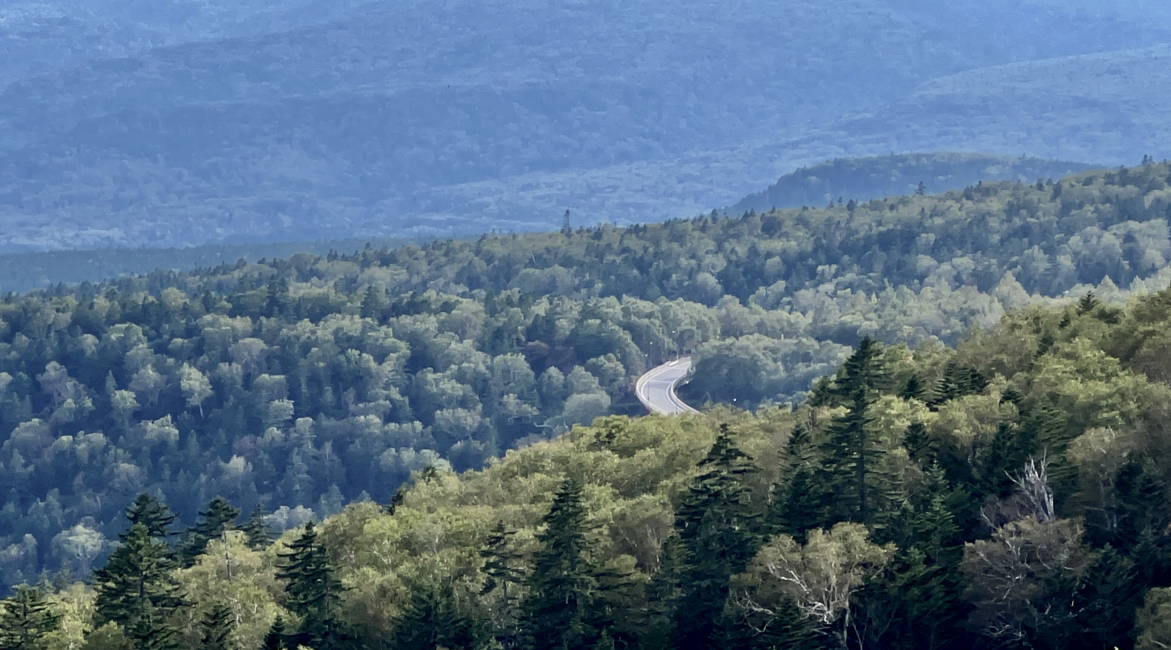 Mikuni Pass